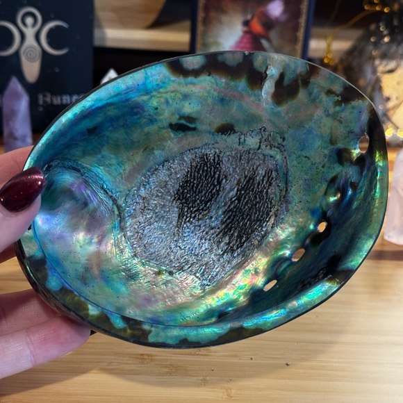 Smudging Bundle! Organic white sage & abalone shell - Picture 4 of 6